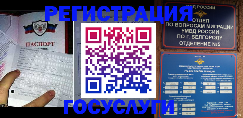 временная регистрация в квартире в Жуковском